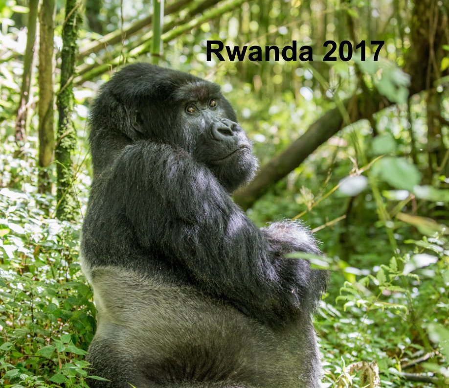 Ver Rwanda 2017 por Jerry Held