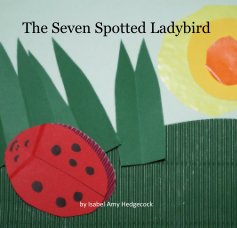 The Seven Spotted Ladybird book cover