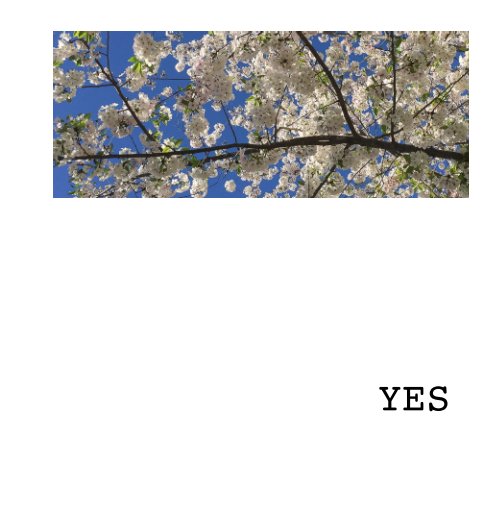 Visualizza YES di Suzanne M. LeBlanc