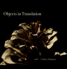 Objects in Translation book cover