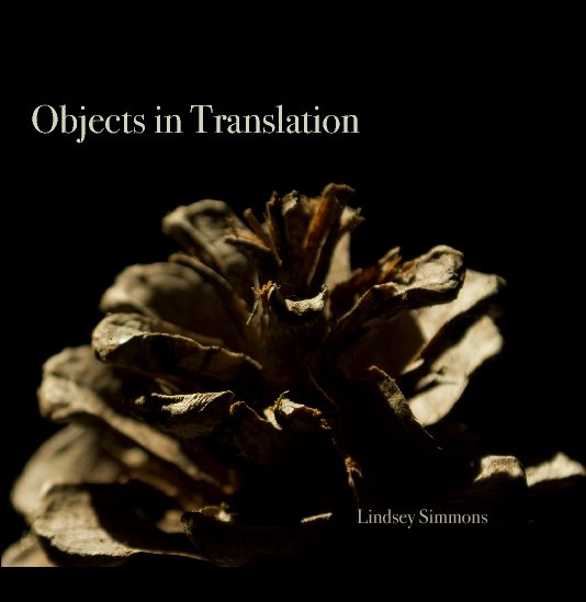 View Objects in Translation by Lindsey Simmons