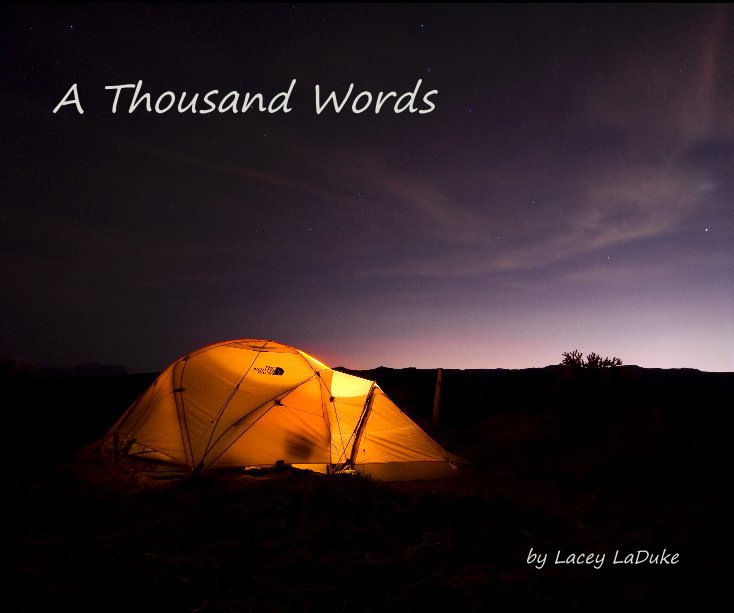 View A Thousand Words by Lacey LaDuke