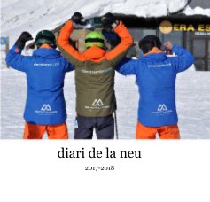 diari de la neu book cover