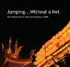 Jumping...Without a Net book cover