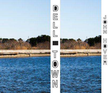 DELL TOWN book cover