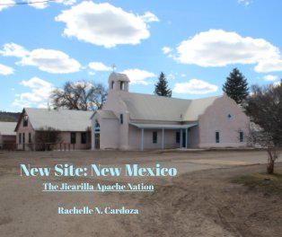 New Site: New Mexico book cover