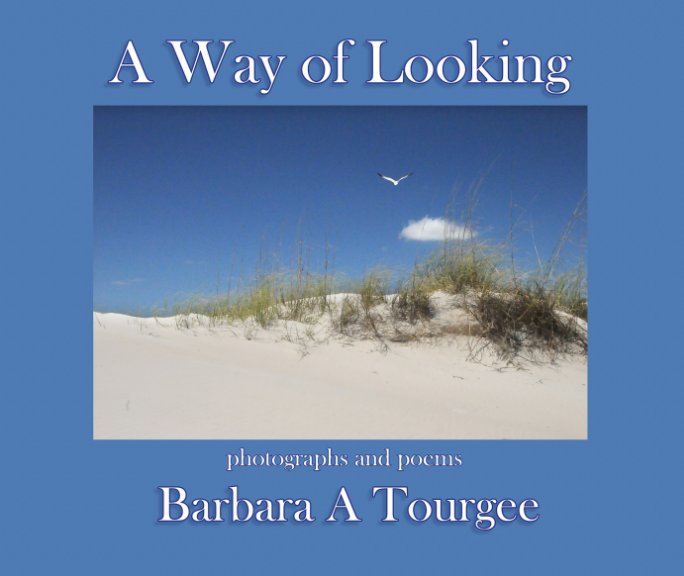 Bekijk A Way of Looking op Barbara A Tourgee