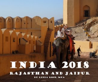 India 2018 Rajasthan and Jaipur book cover