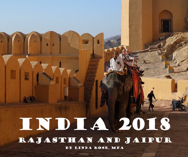 India 2018 Rajasthan and Jaipur nach Linda Rose, MFA anzeigen