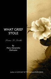 What Grief Stole book cover
