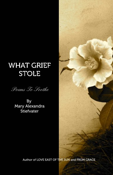 View What Grief Stole by Mary Alexandra Stiefvater