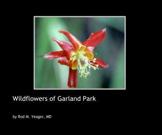 Wildflowers of Garland Park book cover