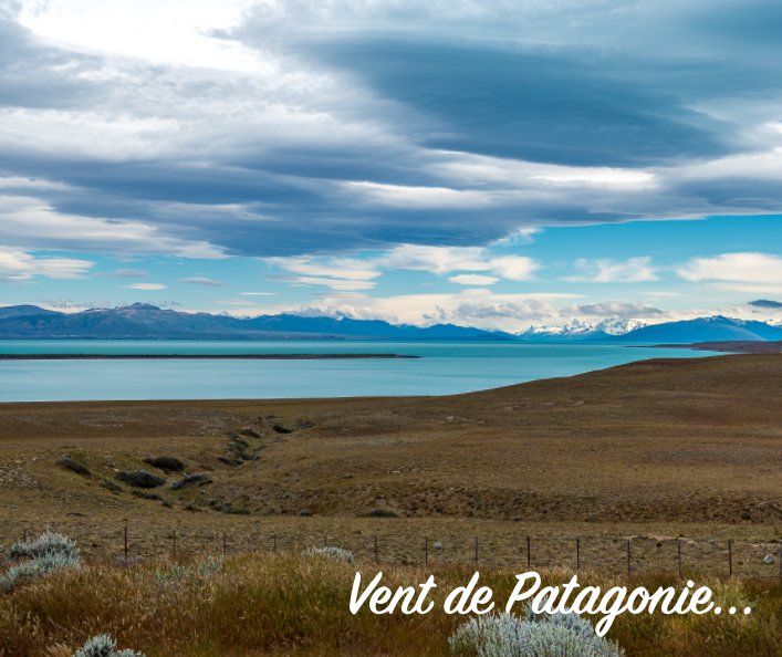 View Vent de Patagonie by Nelly Testud