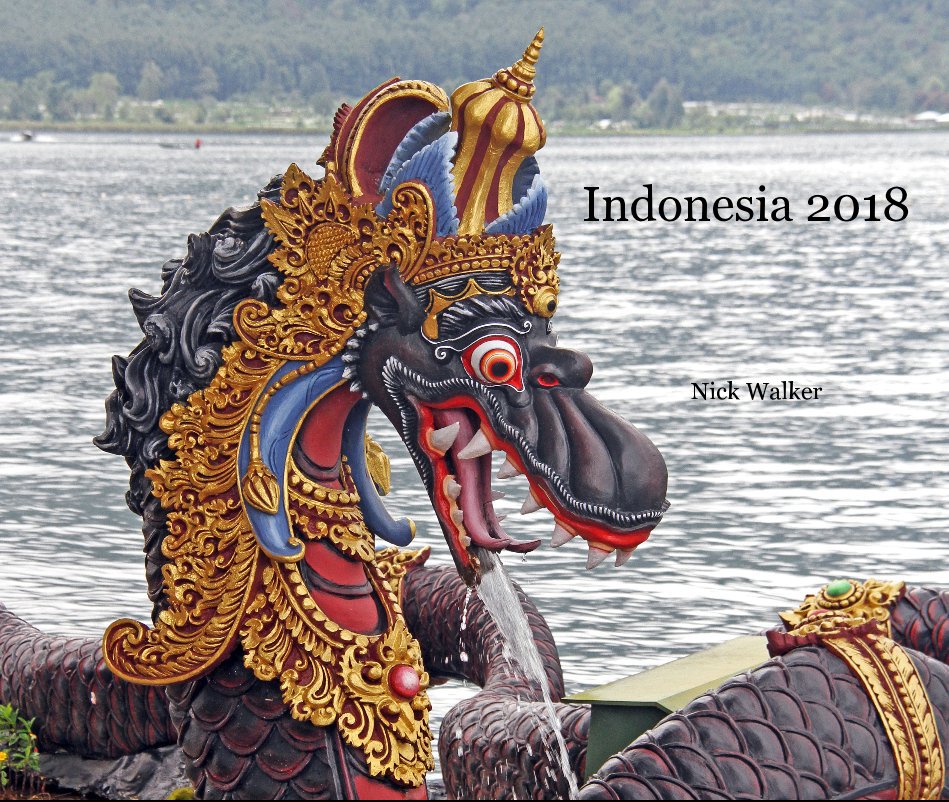 Ver Indonesia 2018 por Nick Walker