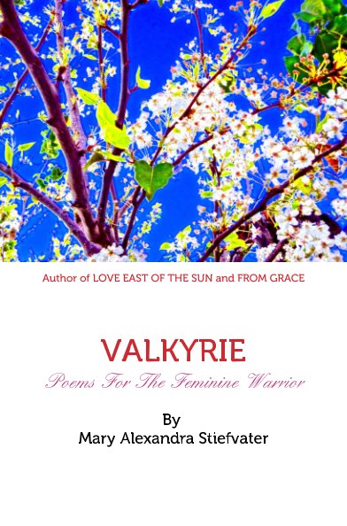 View Valkyrie by Mary Alexandra Stiefvater