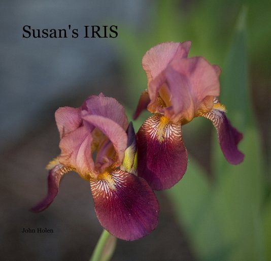 Ver Susan's IRIS por John Holen