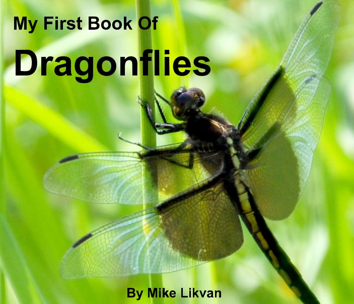 View My First Book of Dragonflies by Mike Likvan