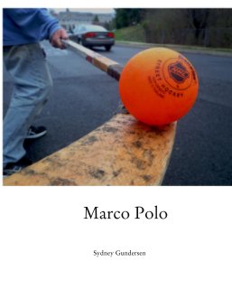 Marco Polo book cover