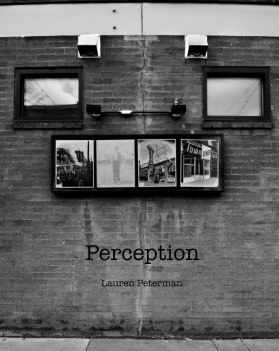 View Perception by Lauren Peterman