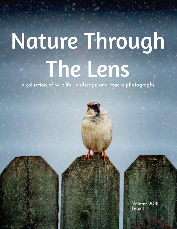 View Nature Through The Lens by Jessica Nelson