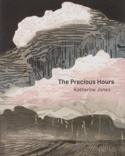 The Precious Hours book cover