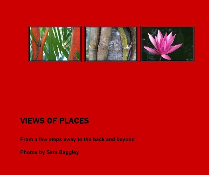 View VIEWS OF PLACES by Photos by Sara Baggley