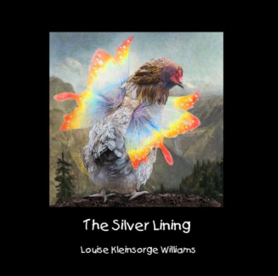 The Silver Lining book cover