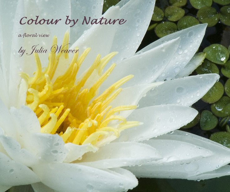 View Colour by Nature by Julia Weaver