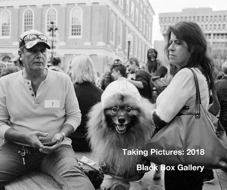 Ver Taking Pictures: 2018 por Black Box Gallery