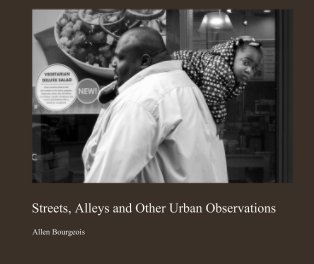 Streets, Alleys and Other Urban Observations book cover