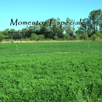 Momentos Especiales book cover