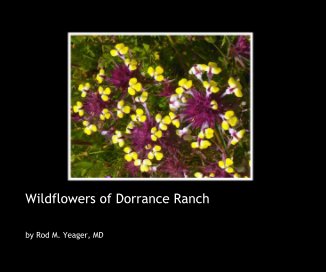 Wildflowers of Dorrance Ranch book cover