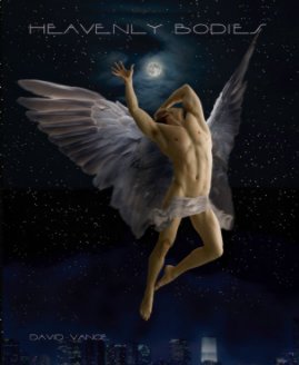 HEAVENLY BODIES book cover