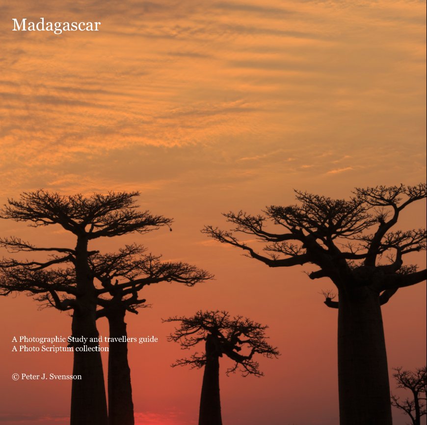 View Madagascar by Peter J. Svensson