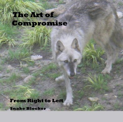 The Art of Compromise book cover