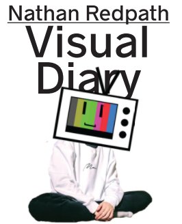 Visual Diary 2 book cover