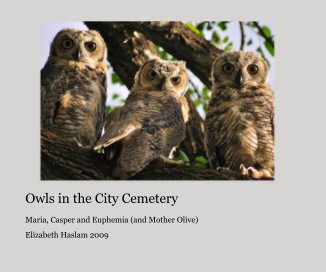 Owls in the City Cemetery book cover