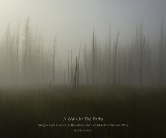 A Walk In The Parks book cover