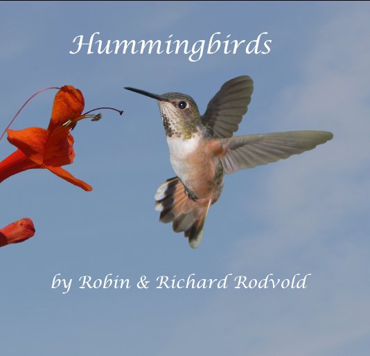 View Hummingbirds by Robin and Richard Rodvold