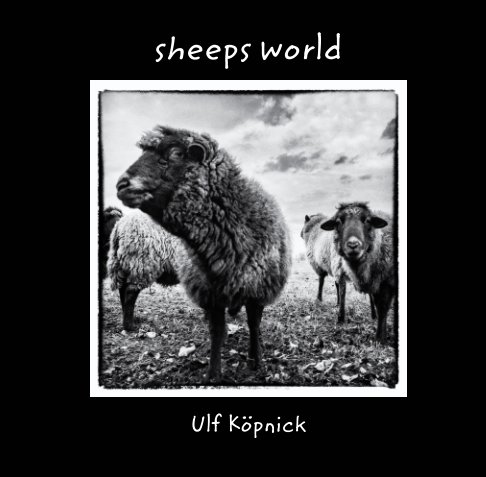 Visualizza sheeps world di Ulf Köpnick