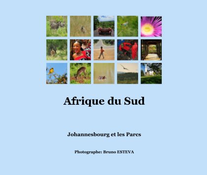 Afrique du Sud book cover