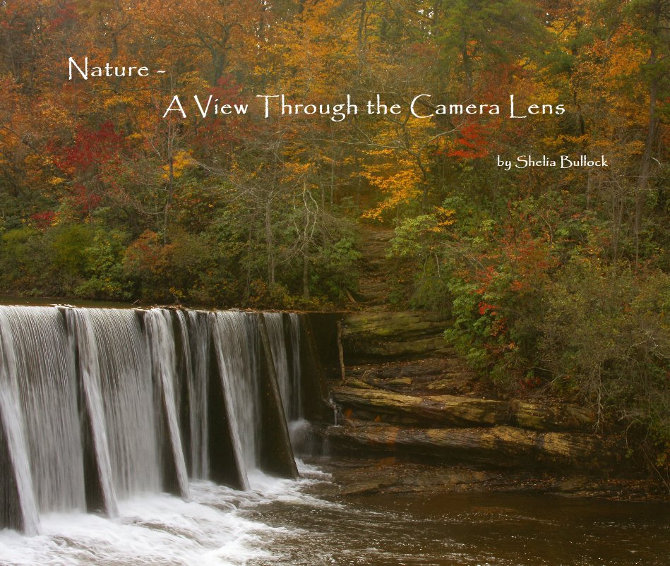 View Nature - A View Through the Camera Lens by Shelia Bullock
