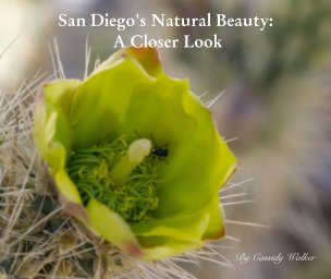 San Diego's Natural Beauty: A Closer Look book cover