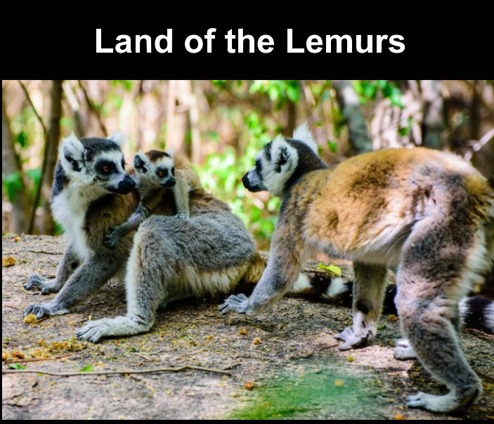 View Land of the Lemurs by Robert Akester LRPS