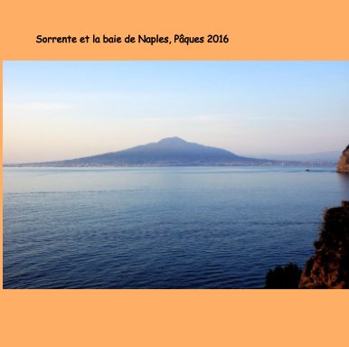 Naples et la côte amalfitaine. book cover