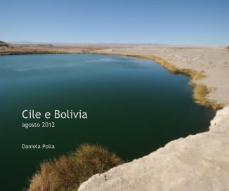 Cile e Bolivia agosto 2012 book cover