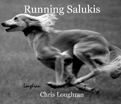 Running Salukis    Chris Loughran book cover