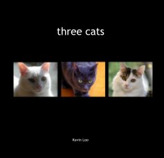 three cats book cover