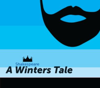 A Winters Tale book cover