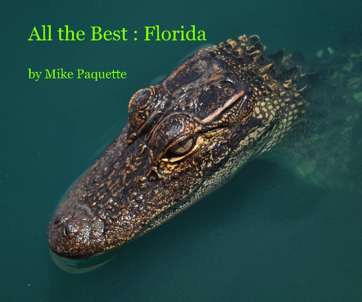 View All the Best : Florida by Mike Paquette